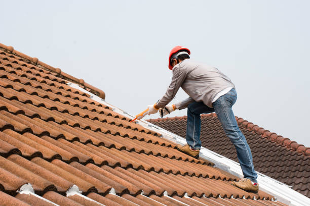 Best Metal Roofing Installation  in Mattawan, MI