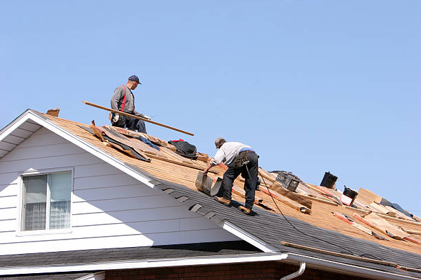 Best Rubber Roofing (EPDM, TPO)  in Mattawan, MI